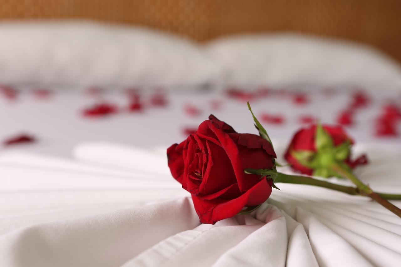 Hotel Anamichu Suites 멜가르 외부 사진